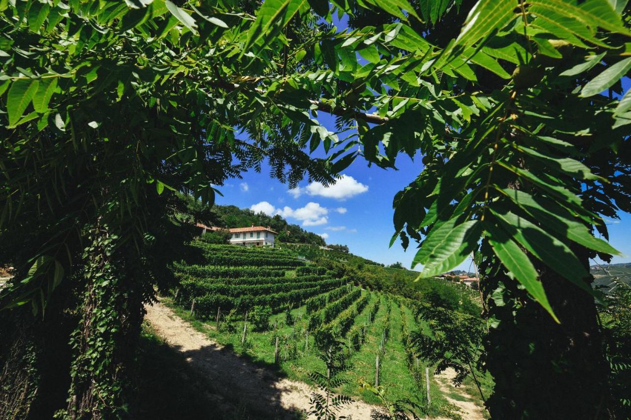 Cascina Flino Appartement Diano dʼAlba Buitenkant foto