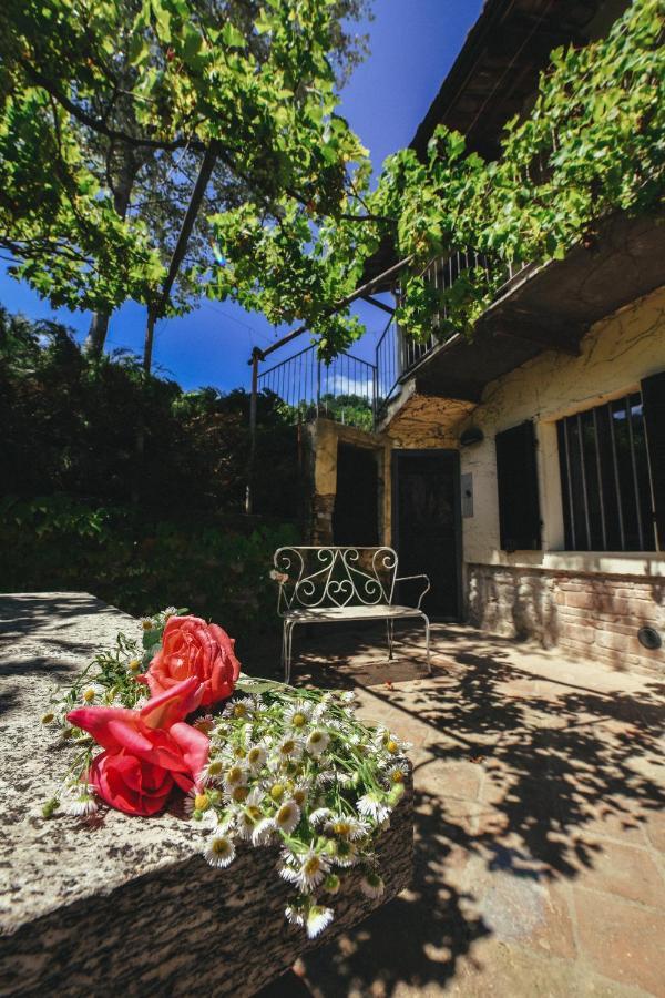 Cascina Flino Appartement Diano dʼAlba Buitenkant foto